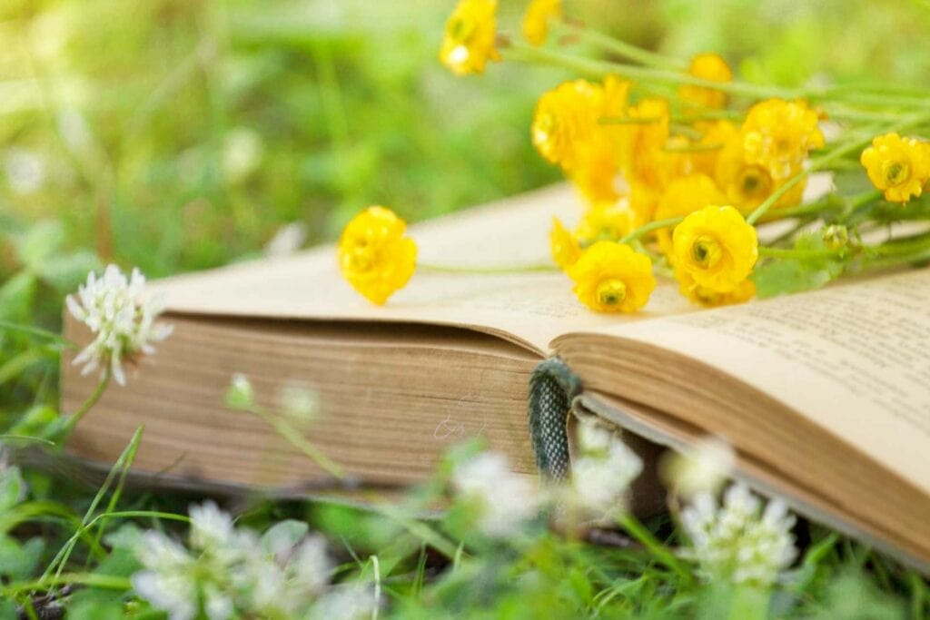 Poetry Book