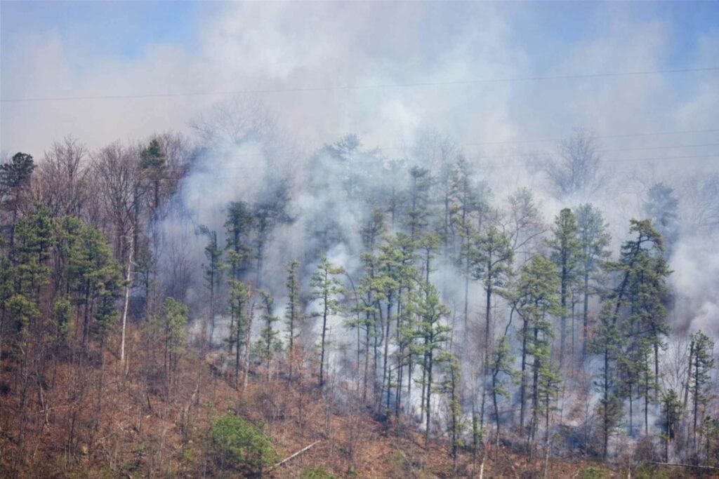 Spring Fire Season