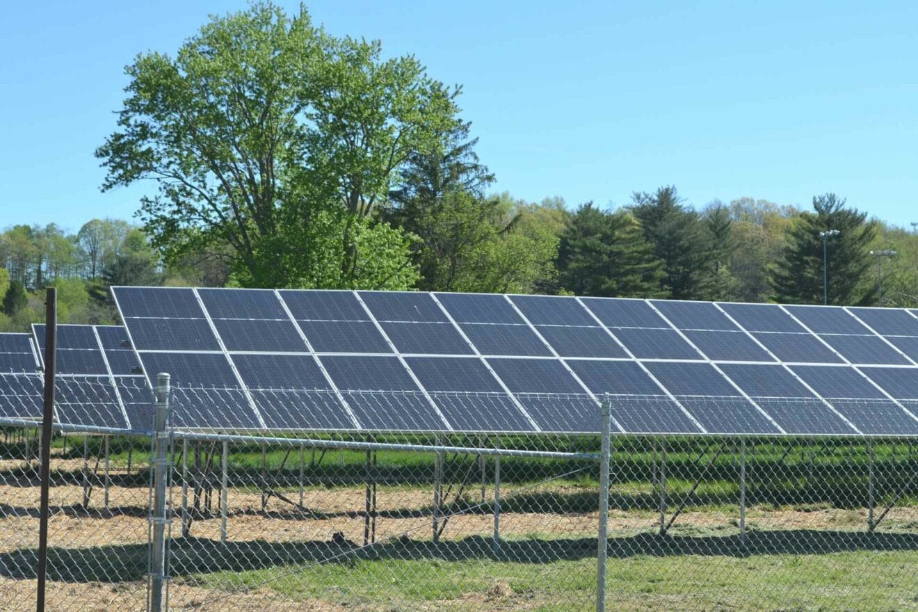 Sunny Buck just got a little brighter with the unveiling of WVWC's new