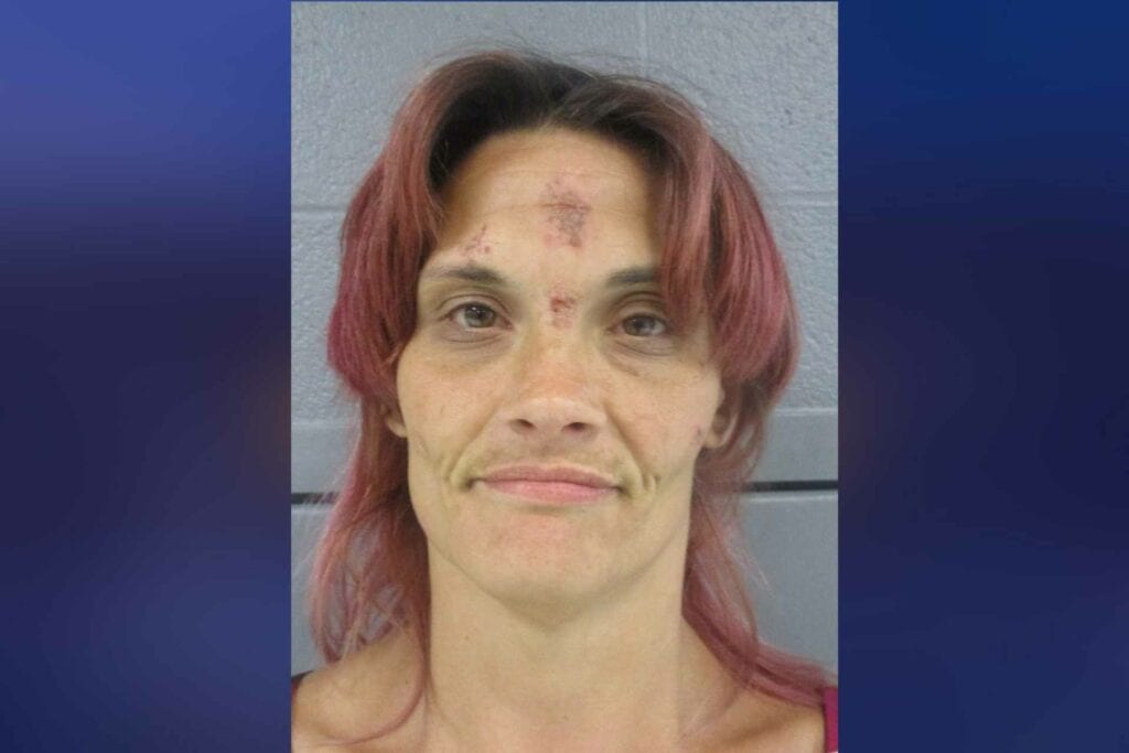 Woman arrested for felony shoplifting after allegedly trying to take items from Walmart