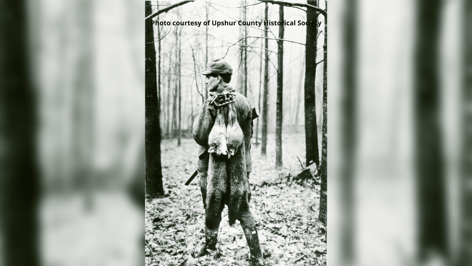 Buckhannon Then & Now Game Farm