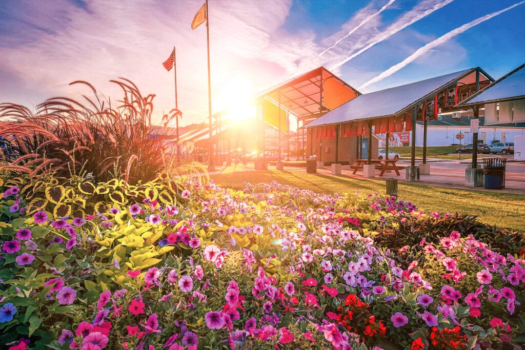 Sale! MyB Premium Members can grab another photo print at 60% off