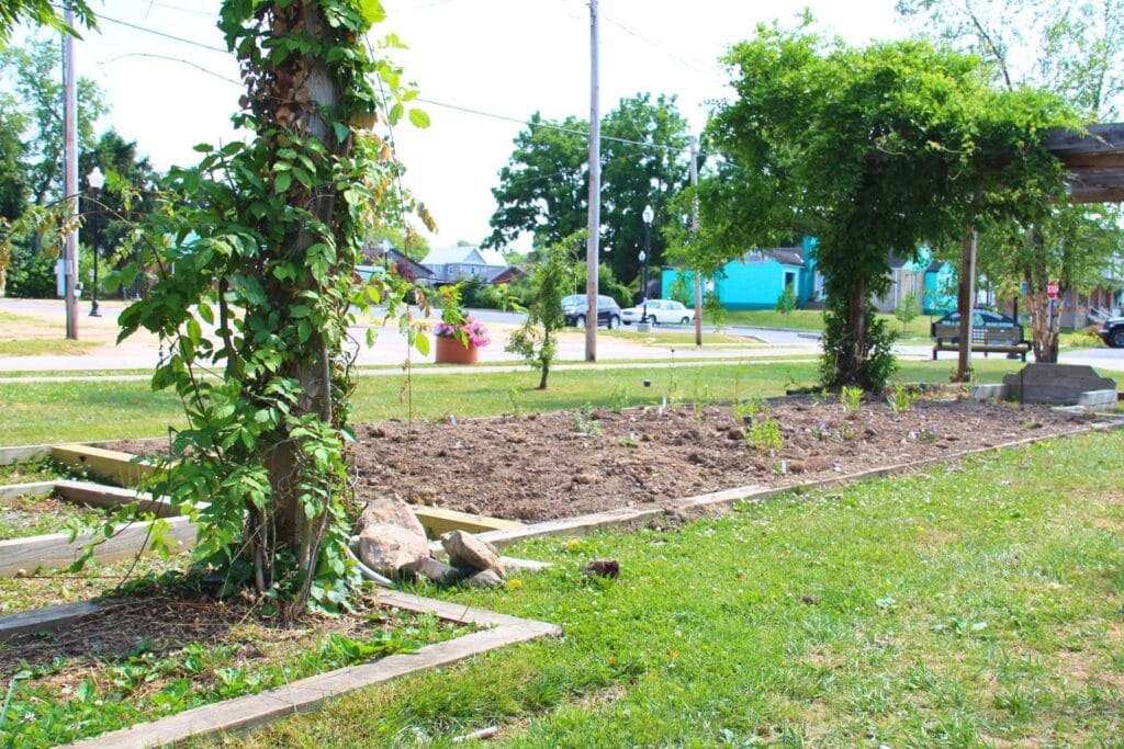 Watering the seeds of community: Pollinator garden expected to be in full bloom by next summer