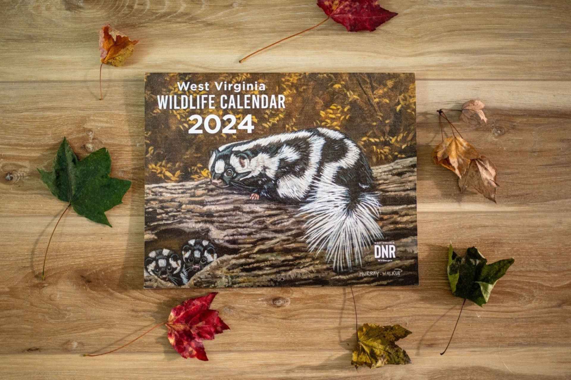 WVDNR seeks art for 40th anniversary edition of West Virginia Wildlife