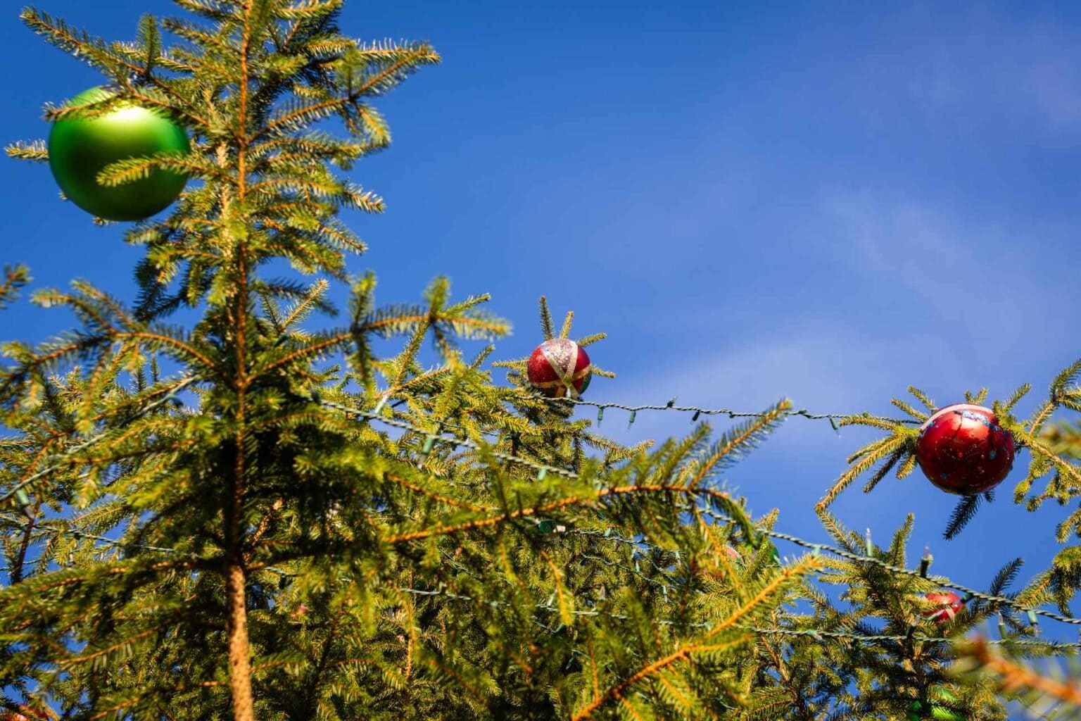 Bringing the seasons to life: Join Buckhannon’s Year-Round Decorating ...