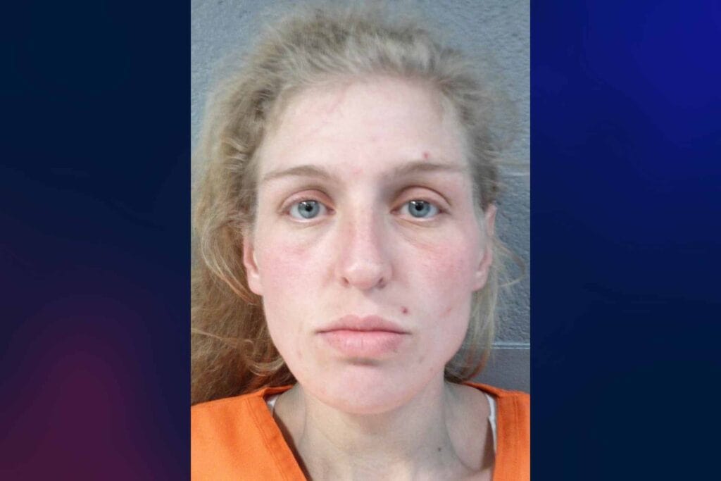 Buckhannon woman faces felony gun charge, drug offenses