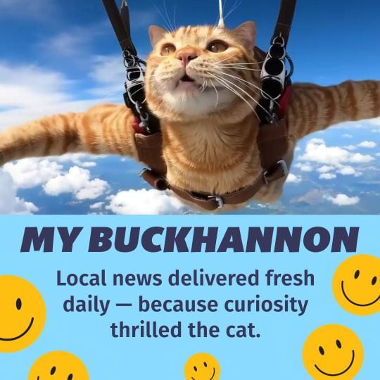 Thrilled Cat – Subscribe Today