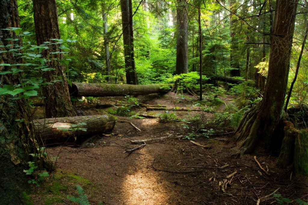 West Virginia Trappers Association holds 56th annual convention Sept. 19-20, 2025