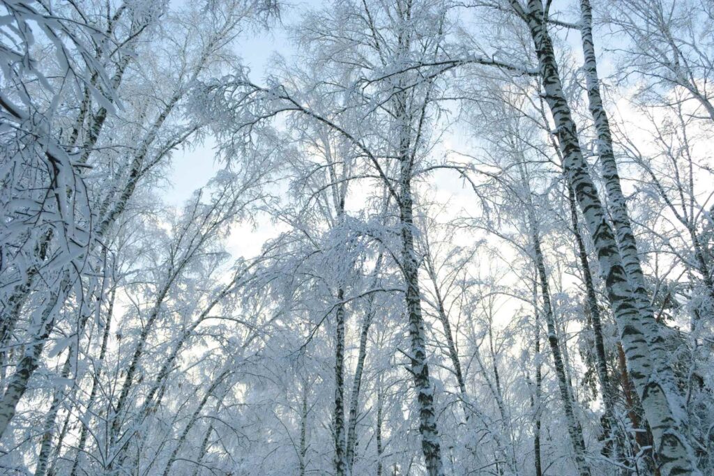 WVDOH warns of dangerous refreeze as ice replaces snow