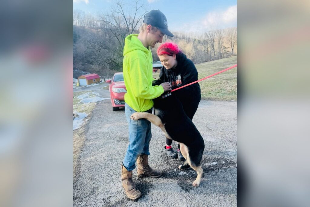 Local tracking business helps reunite missing dog with family in Buckhannon