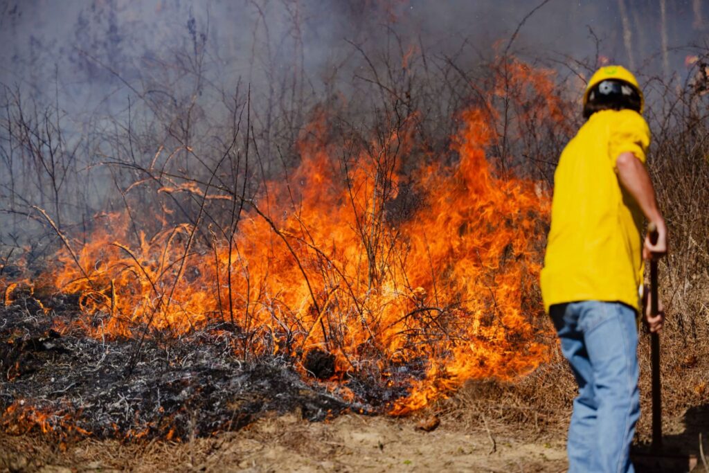 West Virginia spring fire season, burning restrictions return March 1
