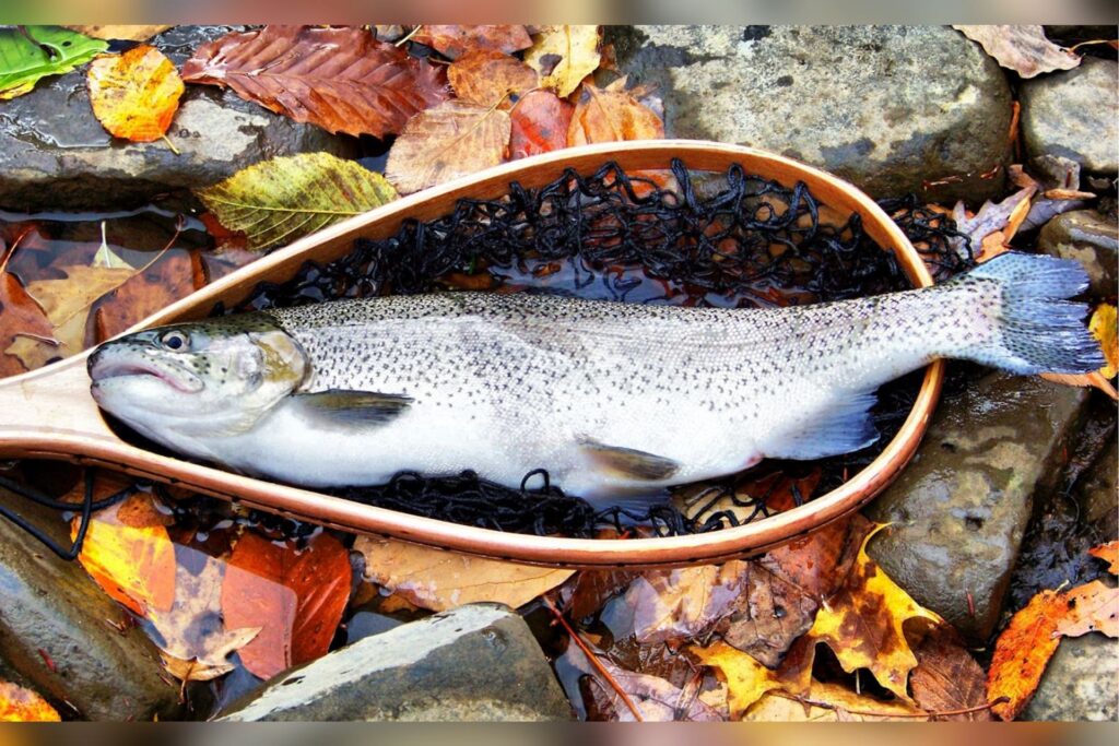 CAC Gallery showcases Al Tucker’s West Virginia photography through February