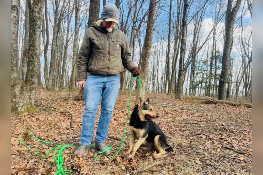 oojfop33f0hw8phtlp2t