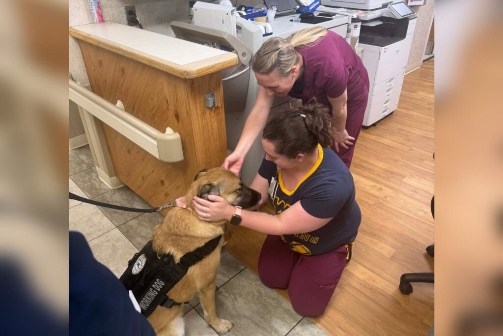 Buckhannon Banter: Get the local lowdown for February 26, 2026