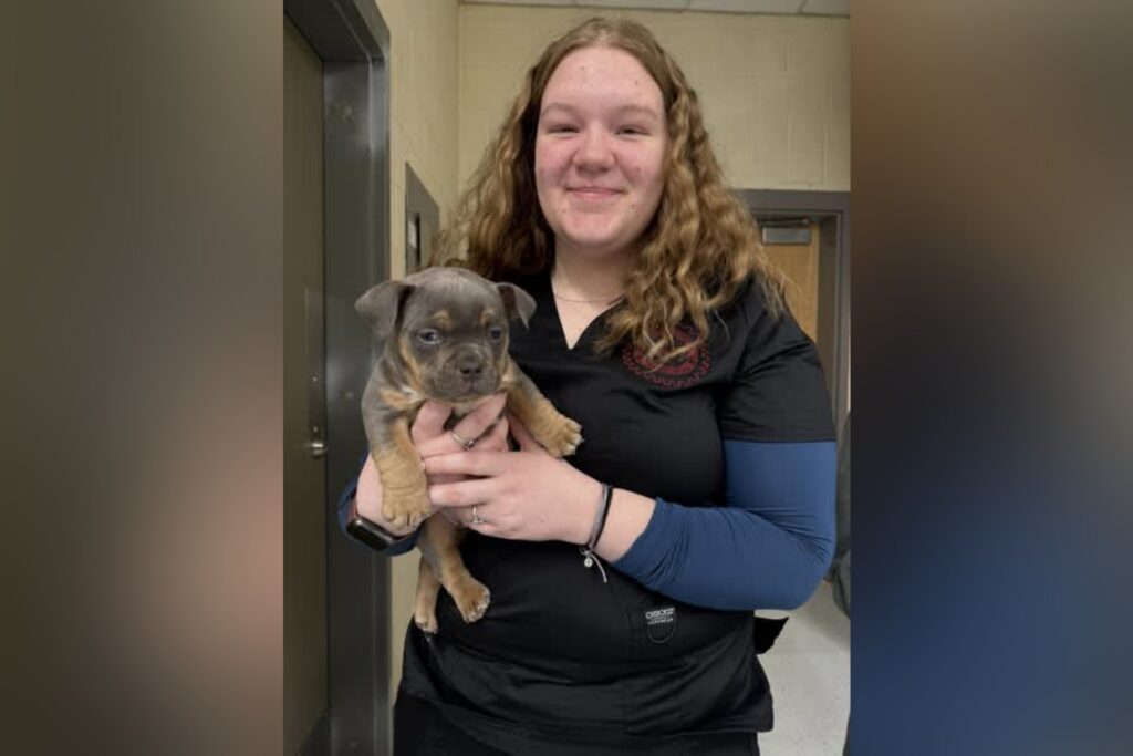 Buckhannon Banter: Get the local lowdown for March 2, 2026