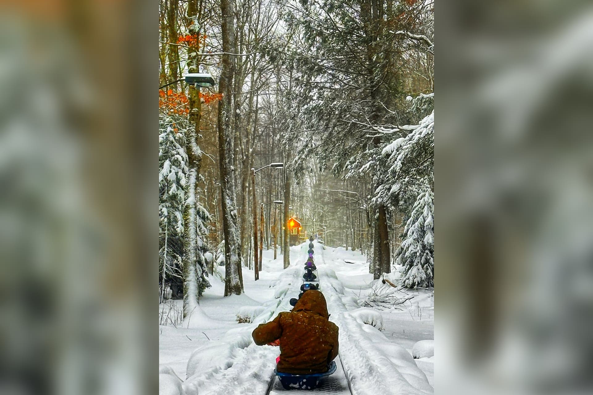 A sled run at Blackwater Falls State Park, photographed by Teresa Taylor of Culloden, won the Outdoor Recreation category.