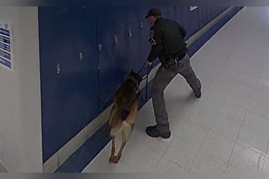 Drug search conducted across four Upshur County schools Wednesday