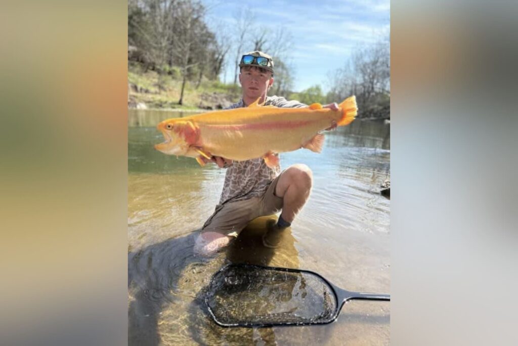 Buckhannon Banter: Get the local lowdown for April 8, 2026
