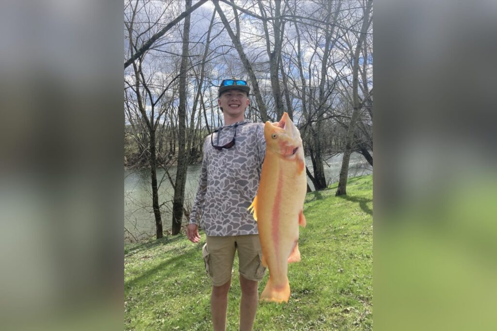 Buckhannon teen catches record-breaking golden rainbow trout