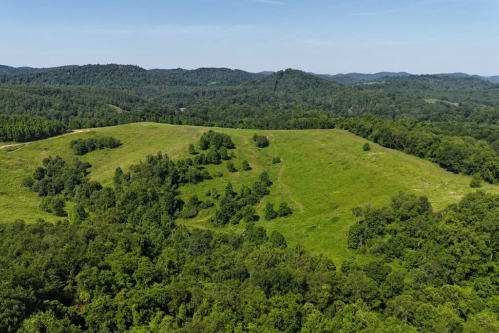 WVU Extension launches statewide needs assessment, hosts regional listening sessions