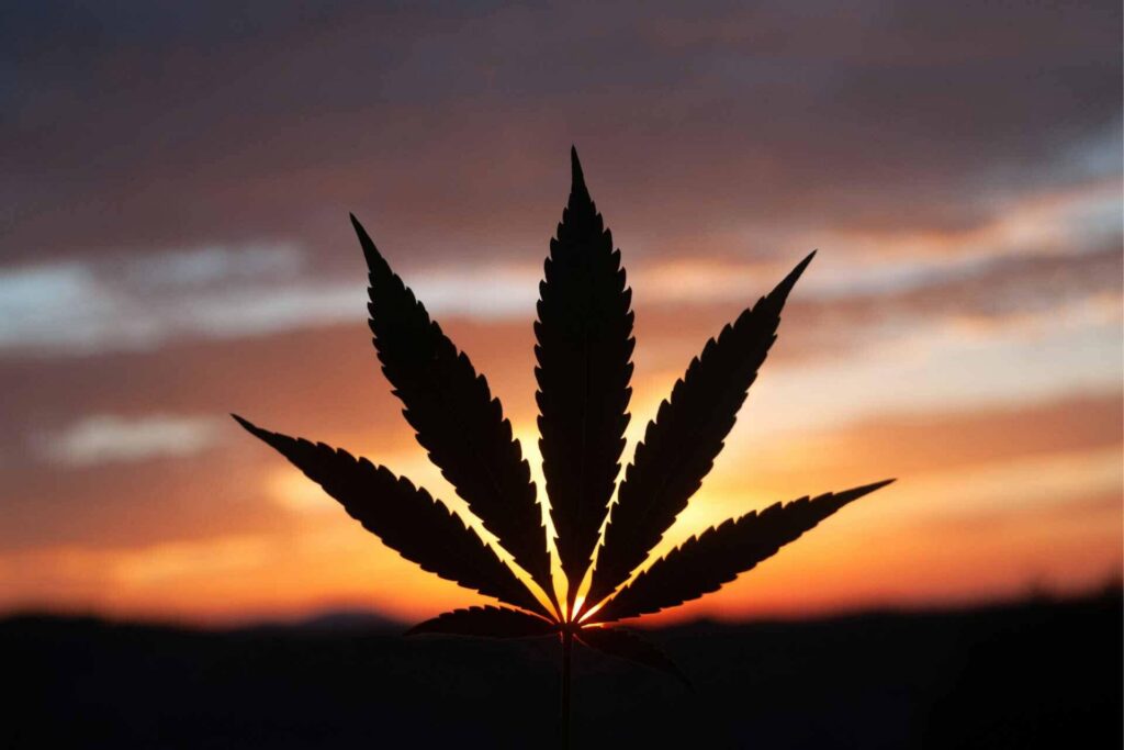 Driving high is impaired driving, Governor’s Highway Safety Program warns ahead of 4/20