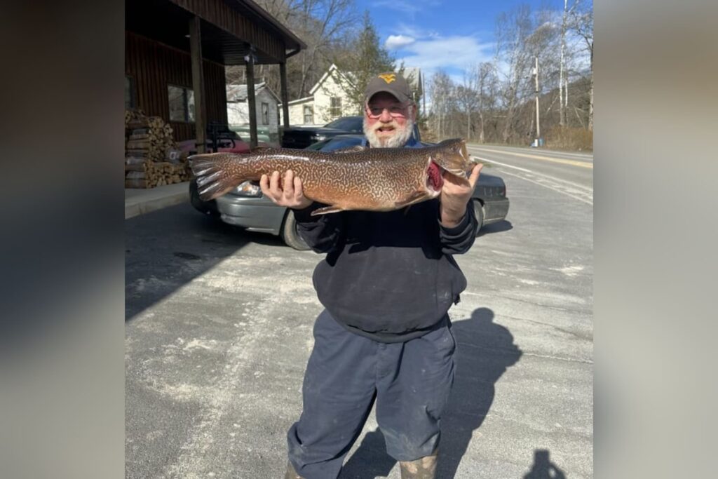 West Virginia man sets new state record for tiger trout