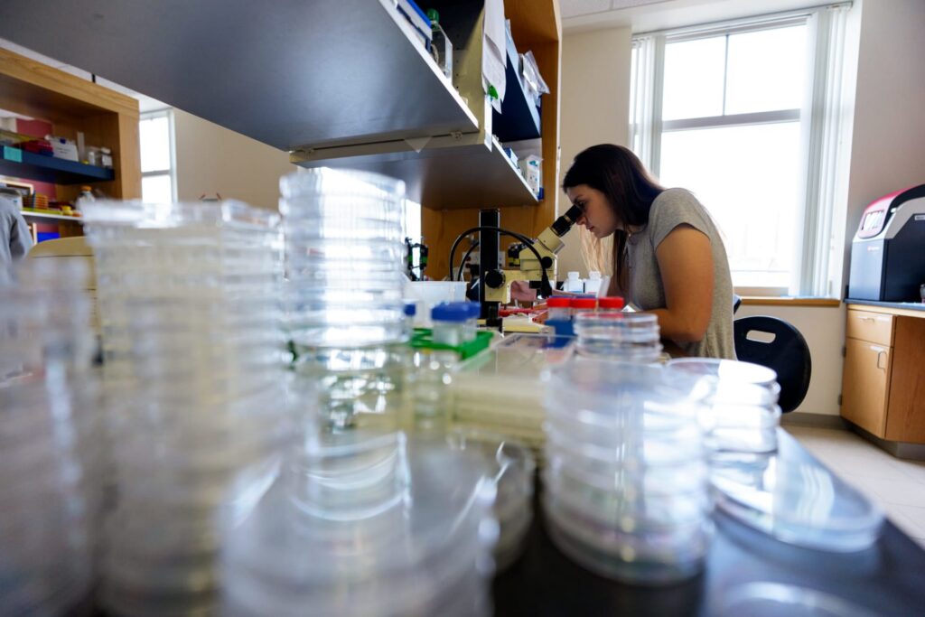 On the Other Hand: Why are most humans right-handed? A WVU neurobiologist looks to fish for the answer