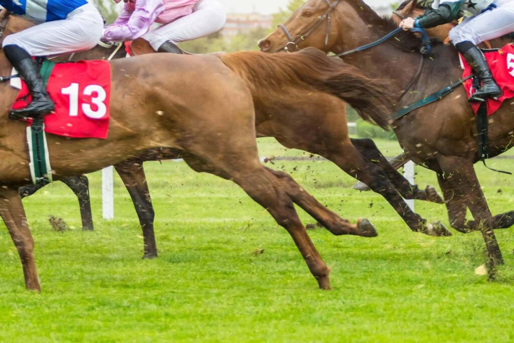 Stonewall Resort to host Kentucky Derby Winner’s Circle celebration May 2
