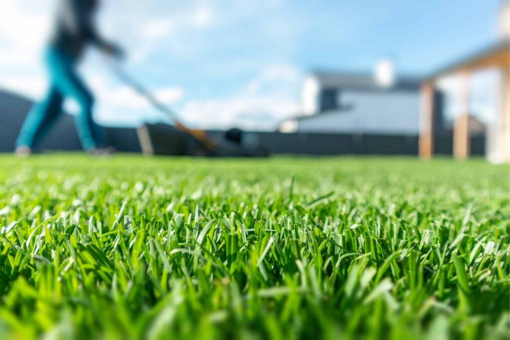 City of Buckhannon encourages residents to prepare properties for summer season