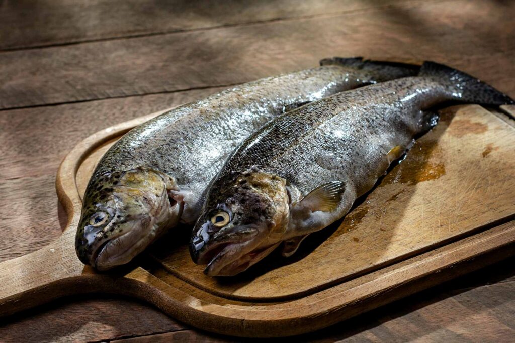 West Virginia releases less restrictive sport fish consumption advisories
