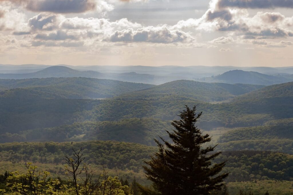WVU study links support for rural women entrepreneurs to economic growth