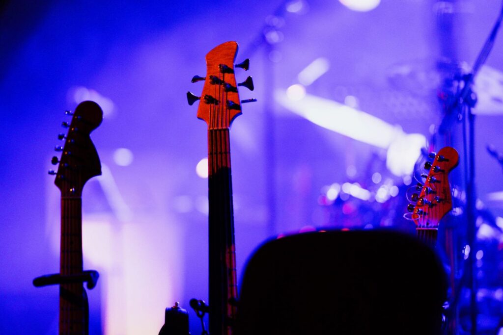 Band submissions now open for Rock the Roost 2027 music festival at Fairmont State University