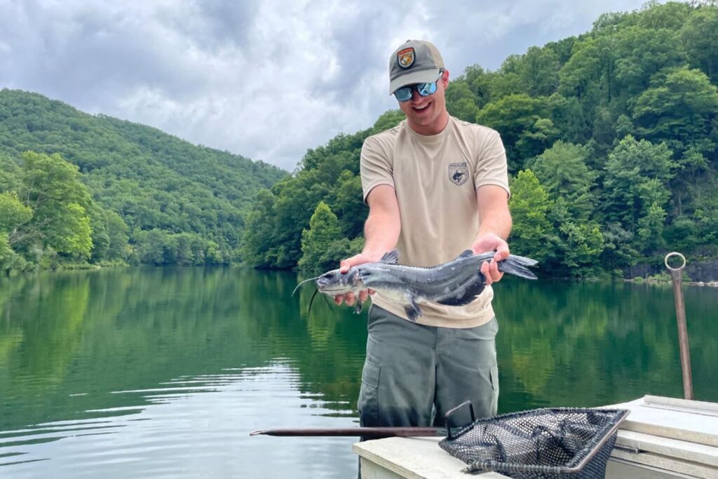 WVDNR stocked 54 ponds and lakes with channel catfish