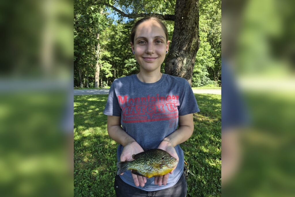 Two anglers catch state-record pumpkinseed sunfish