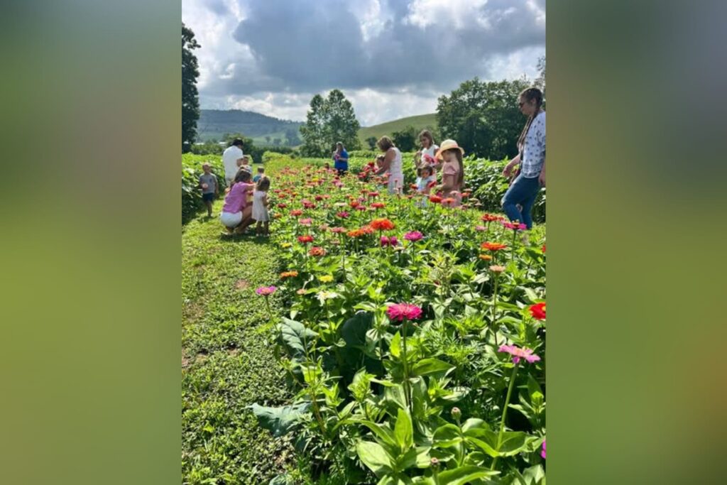 Buckhannon Banter: Get the local lowdown for July 10, 2026