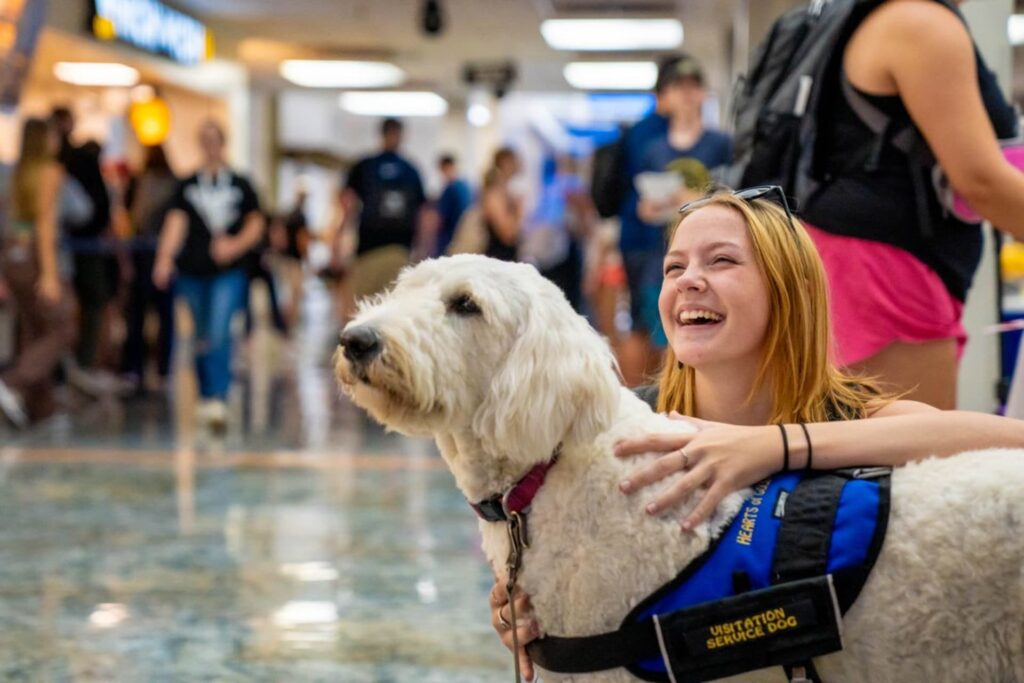 WVU Welcome Week offers new experiences to help students connect, feel at home