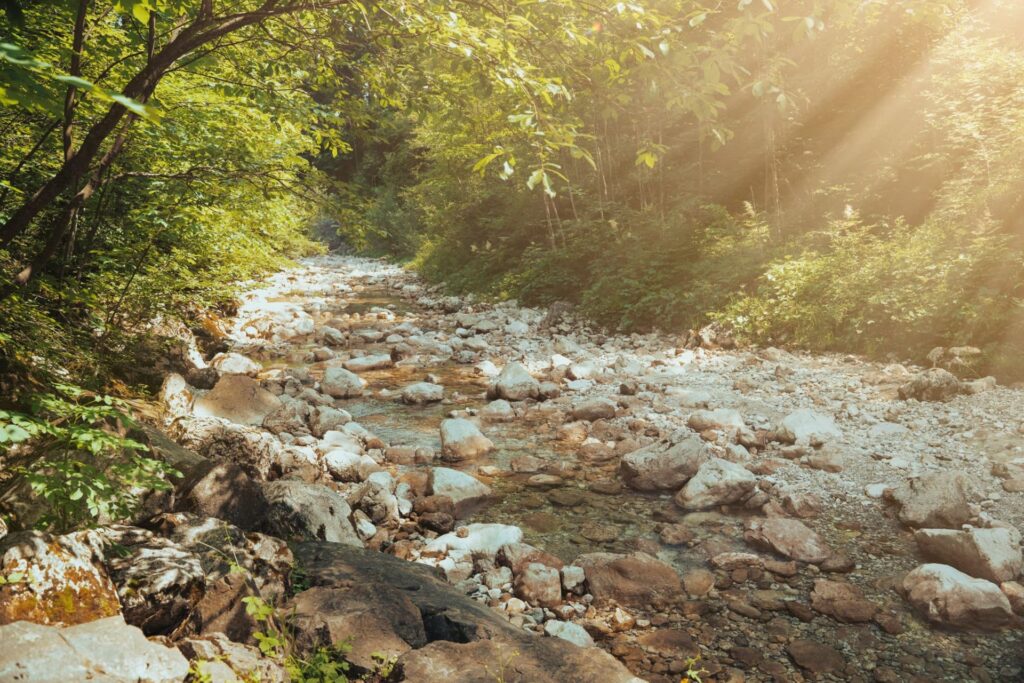 WVDEP accepting comments on restoration plans for Upper Elk River tributaries and Eastern Panhandle streams