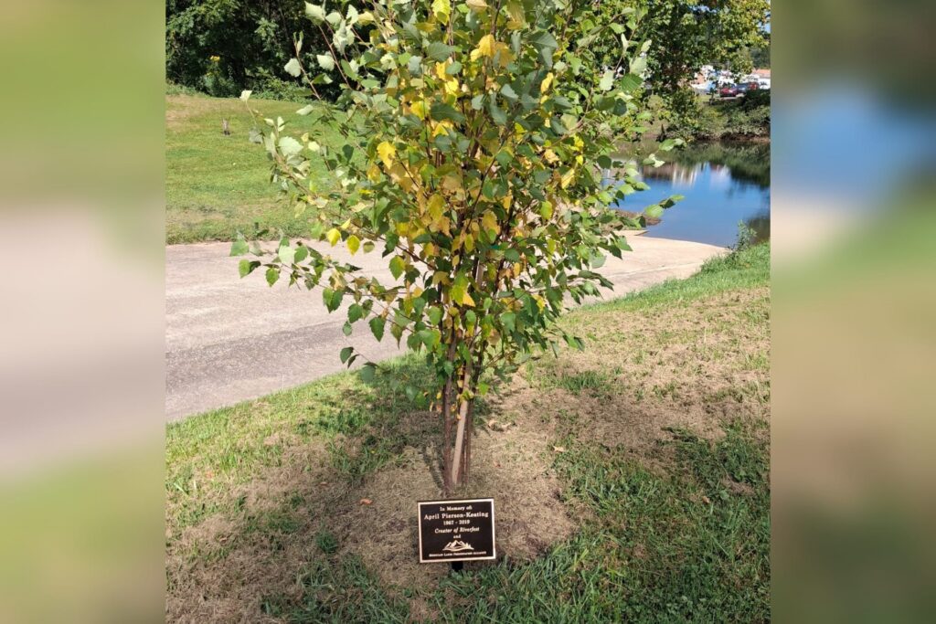 Buckhannon River Fest to honor founder April Pearson Keating with tree and plaque