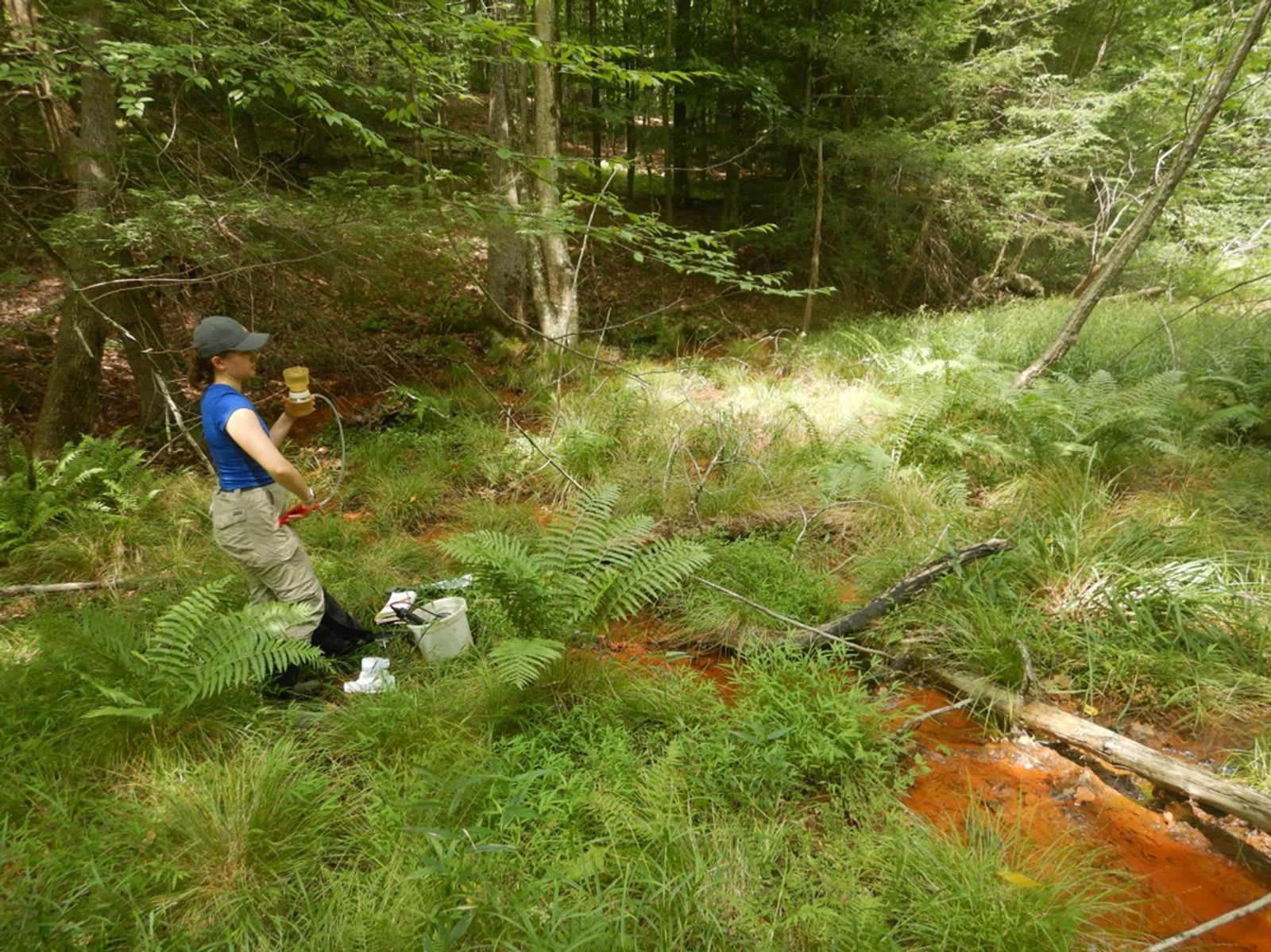 Sarah Nelson samples acid mine drainage in a creek. (Photo supplied by Sarah Nelson)