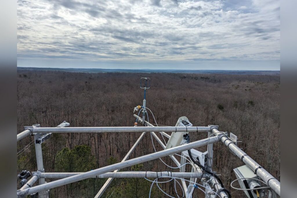 WVU AI research could transform how scientists monitor ecosystems