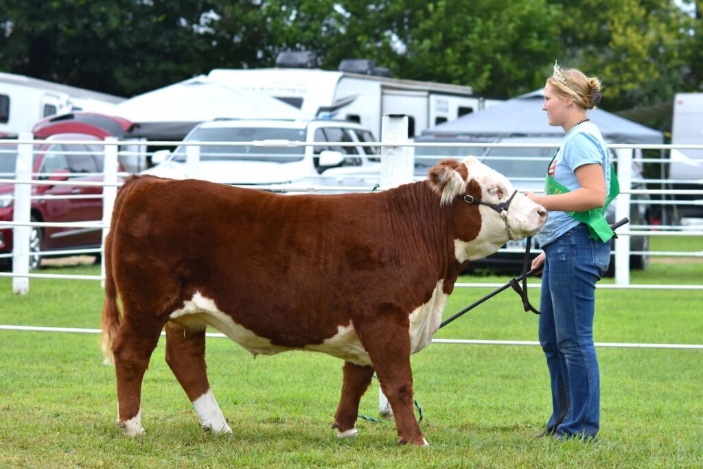 Farm Credit of the Virginias awards $130,000 in grants, including five West Virginia recipients