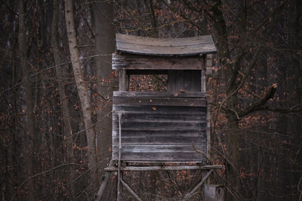Bonus deer stamps must be bought before West Virginia archery season opens Saturday