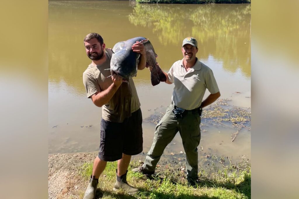 72.75-pound Ohio River catch sets state record for blue catfish