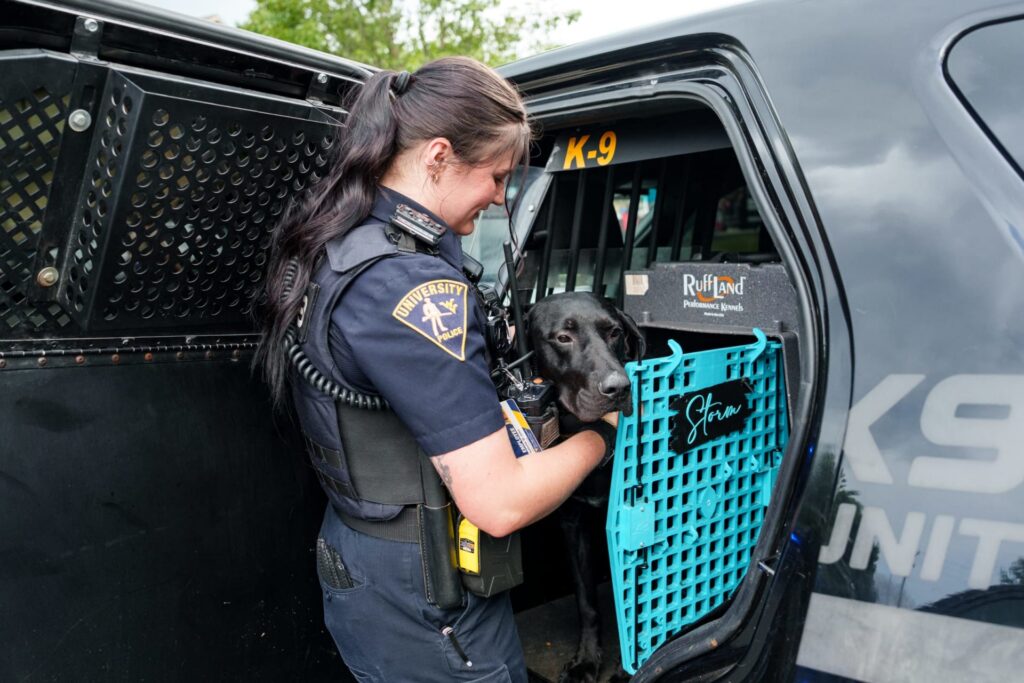 Paw and order: K-9 officers keep Mountaineers safe
