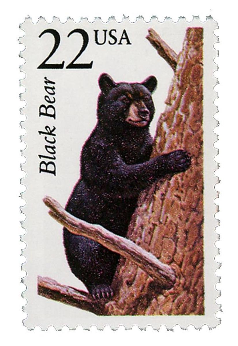 A black bear postage stamp painted by Chuck Ripper